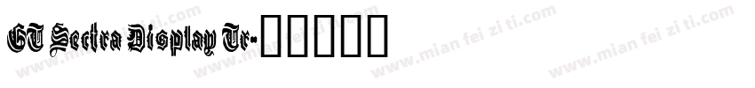 GT Sectra Display Tr字体转换